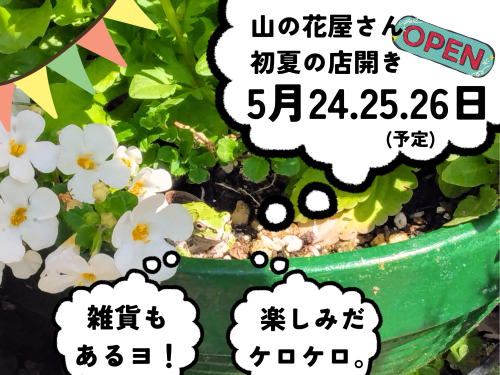 見出しを追加_20250428_001446_0000.png