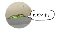 見出しを追加_20250503_120620_0000~3.png