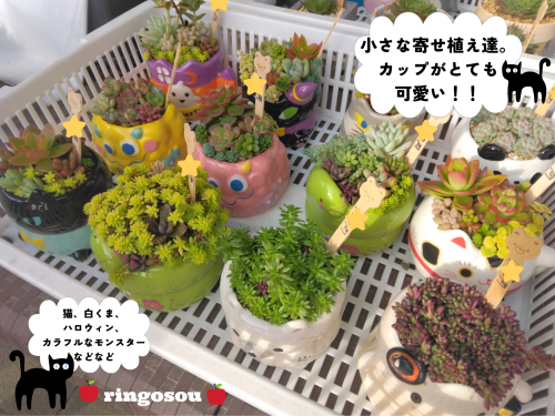 山の花屋7.png