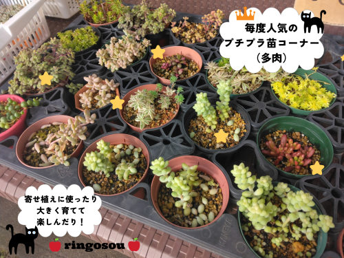 山の花屋8.png