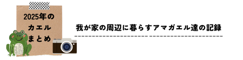 我が家の周辺に暮らすアマガエルの記録.png