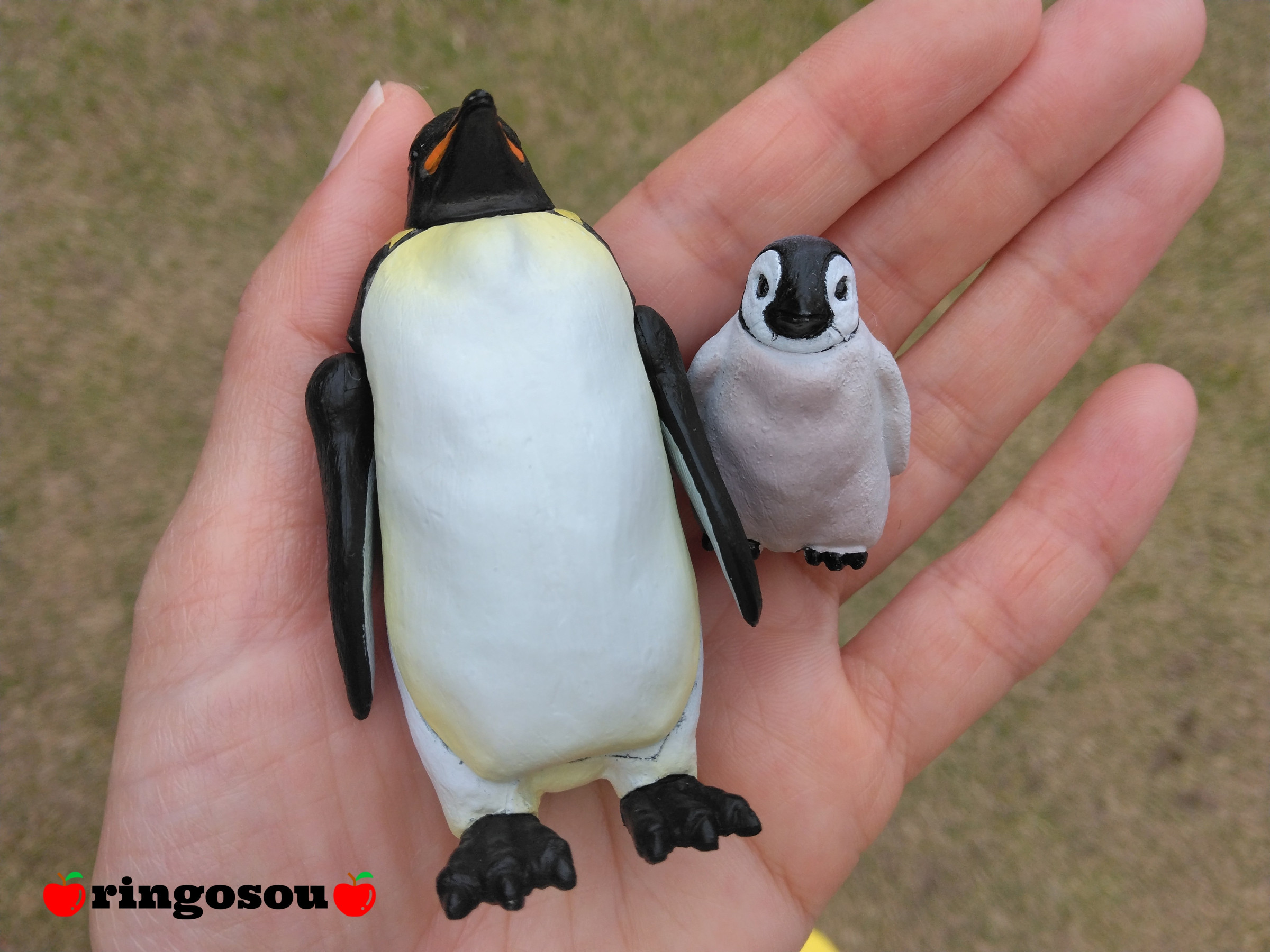 🍎今月の写真コーナー🍎