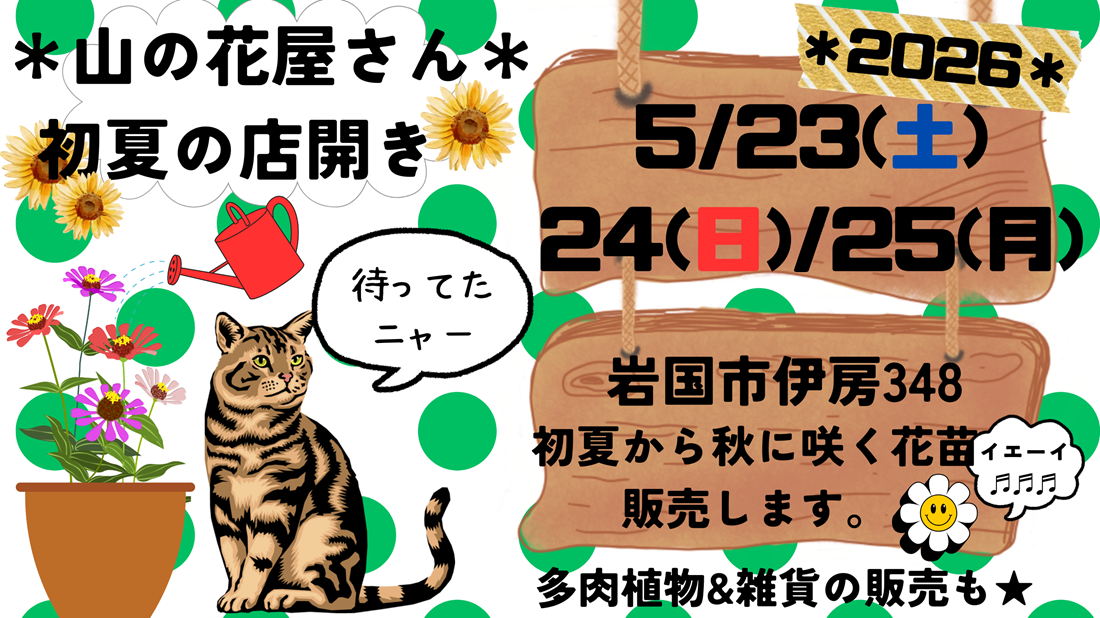 🌼2026年＊山の花屋さん＊初夏の店開き('ω')ノ🌼＠南河内・伊房地区🌼📷画像clickで山の花屋さんのインスタへ移動します🛻💨