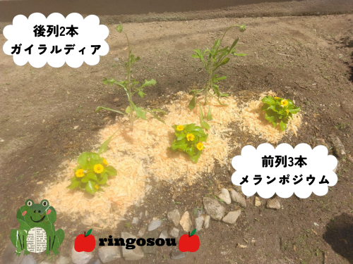 1000034504.png