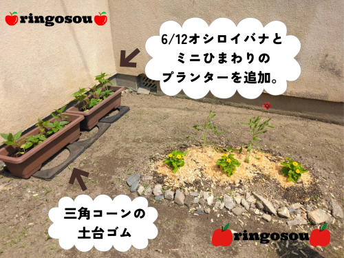1000034522.png