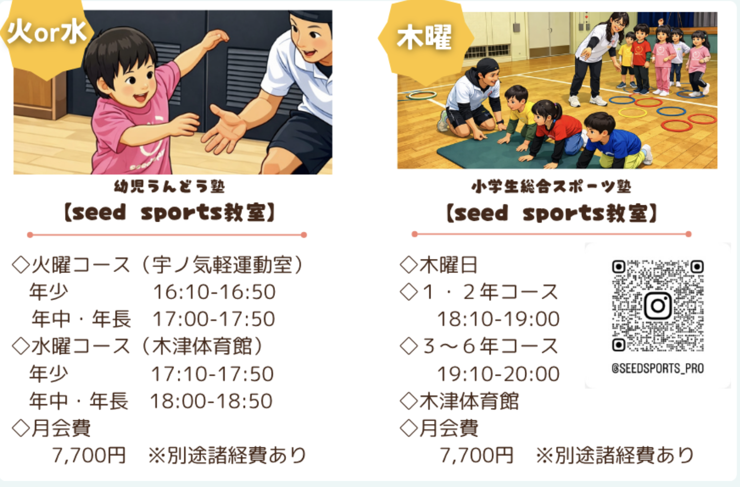 総合スポーツ教室「seed sports」