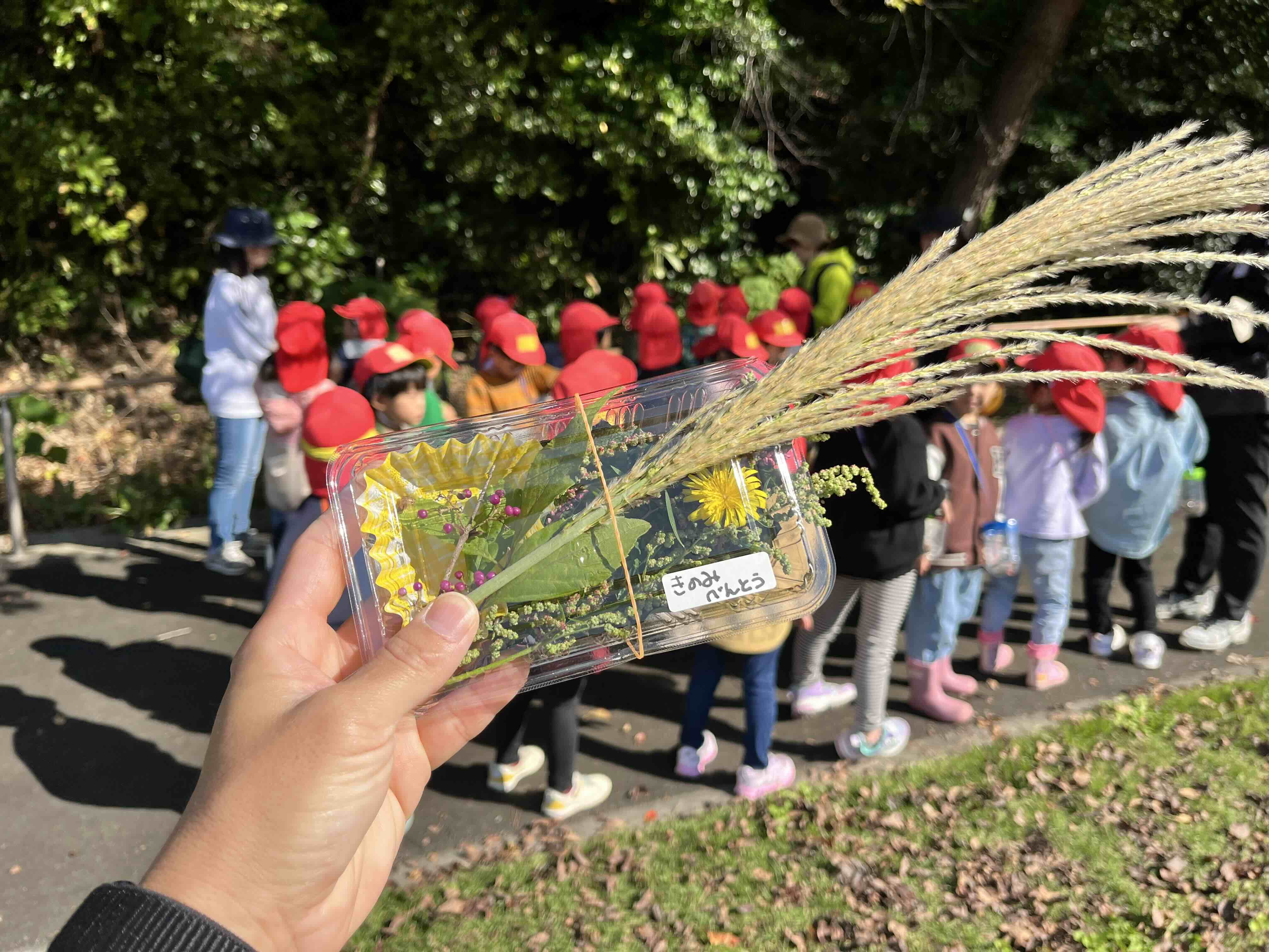 森のようちえん活動