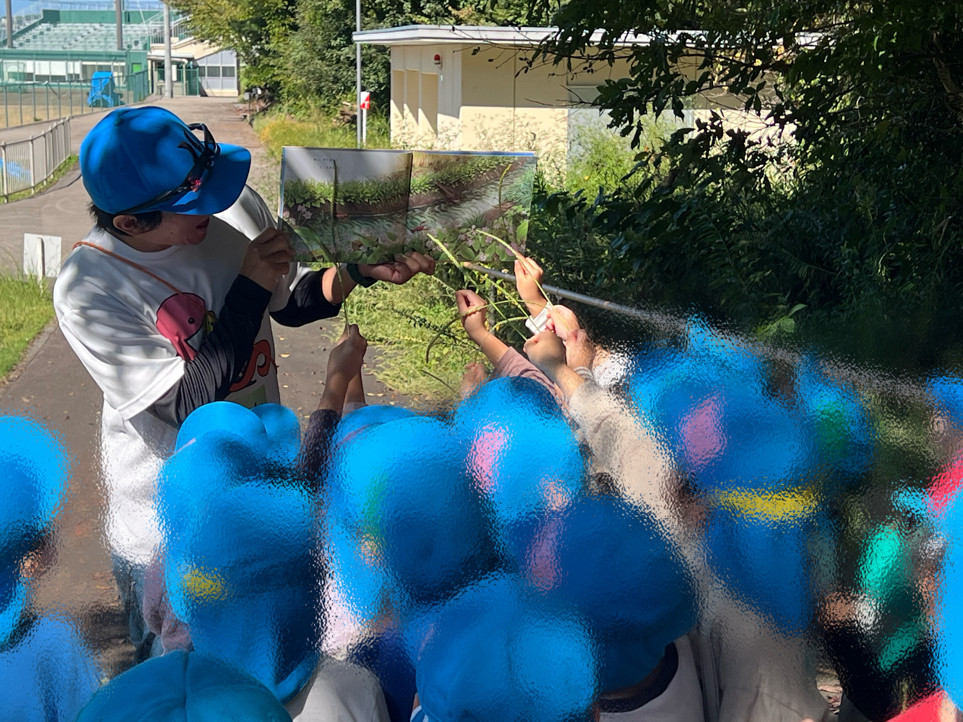 もりのこども園　事業