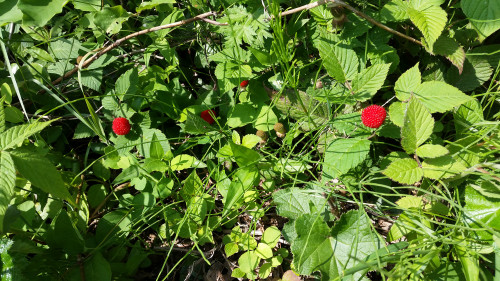 20170514_121320.jpg