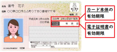 マイナンバー.png