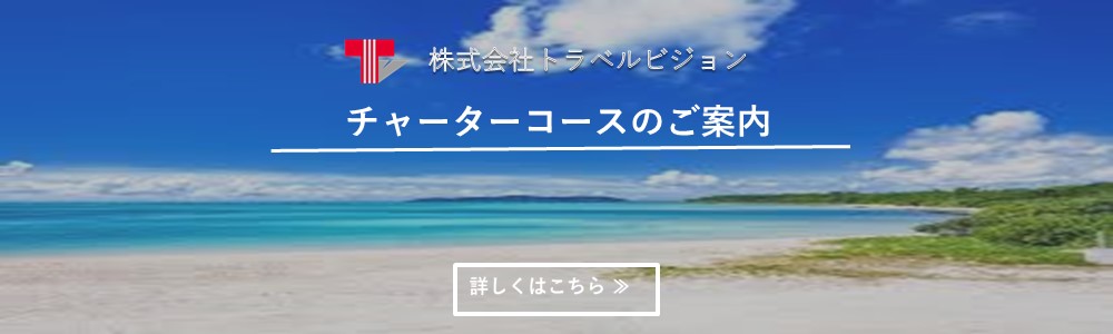 トラベルビジョン「高松空港からチャーター便で行く行く離島ツアー」