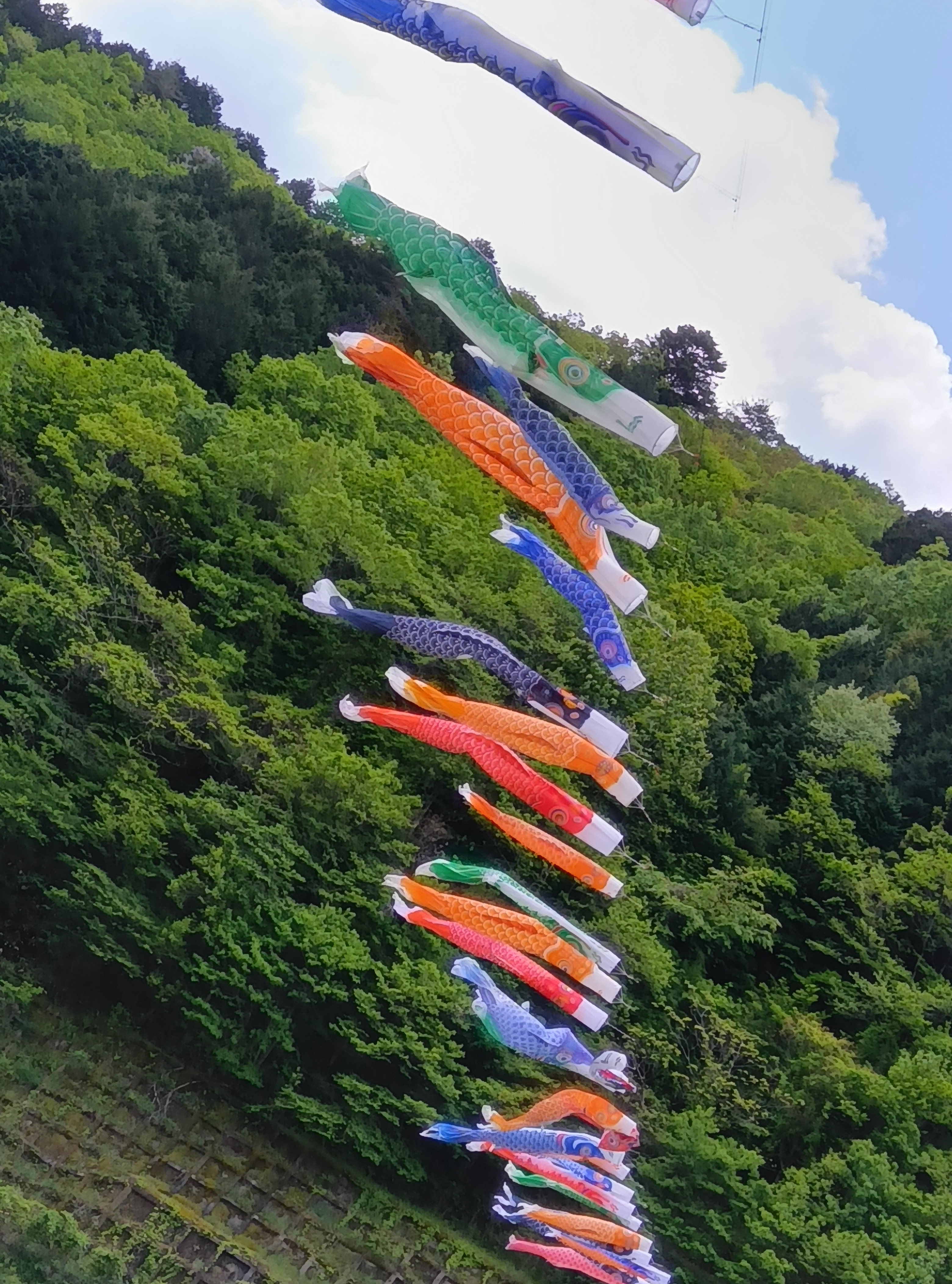 ビコーズからのお知らせ