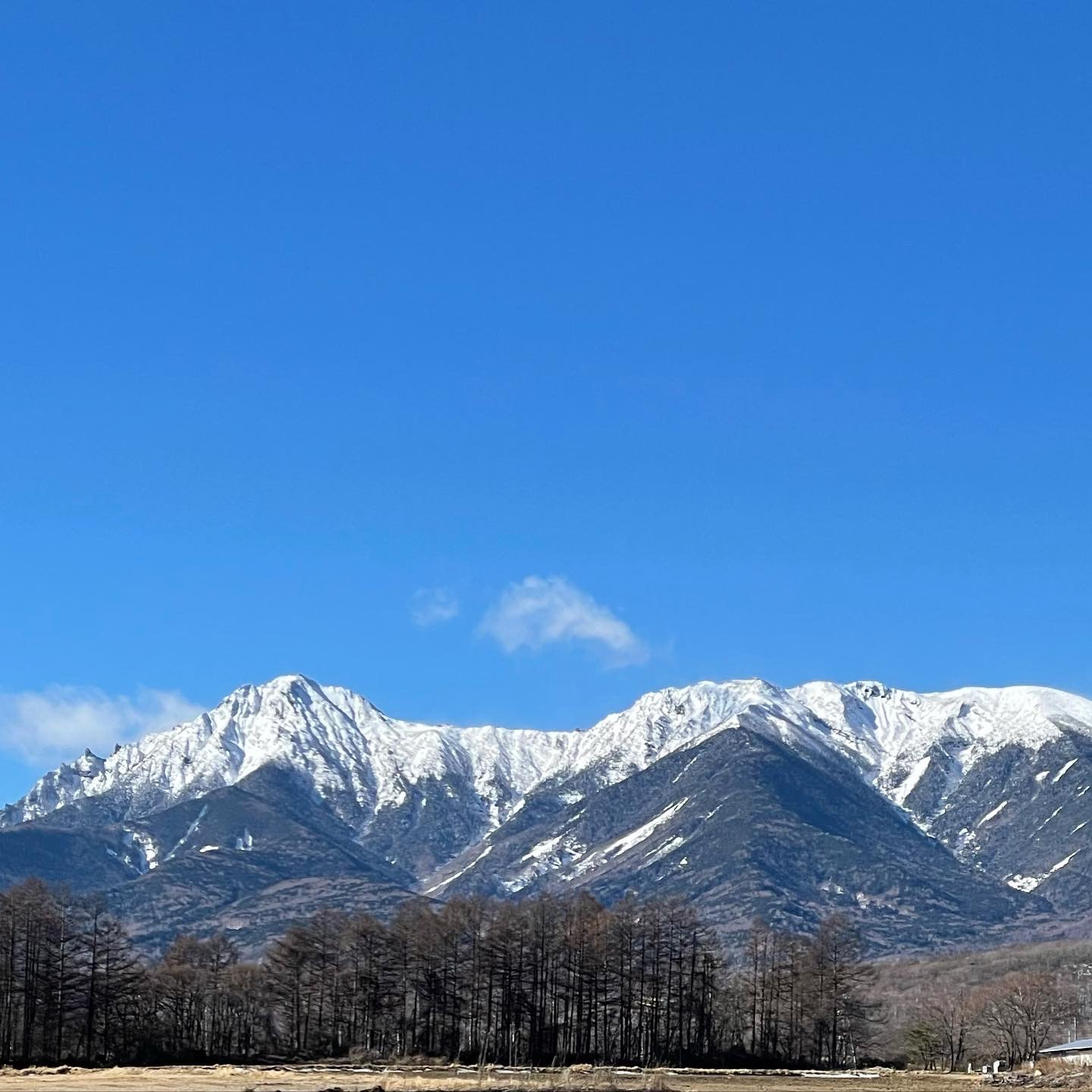 明けましておめでとうございます