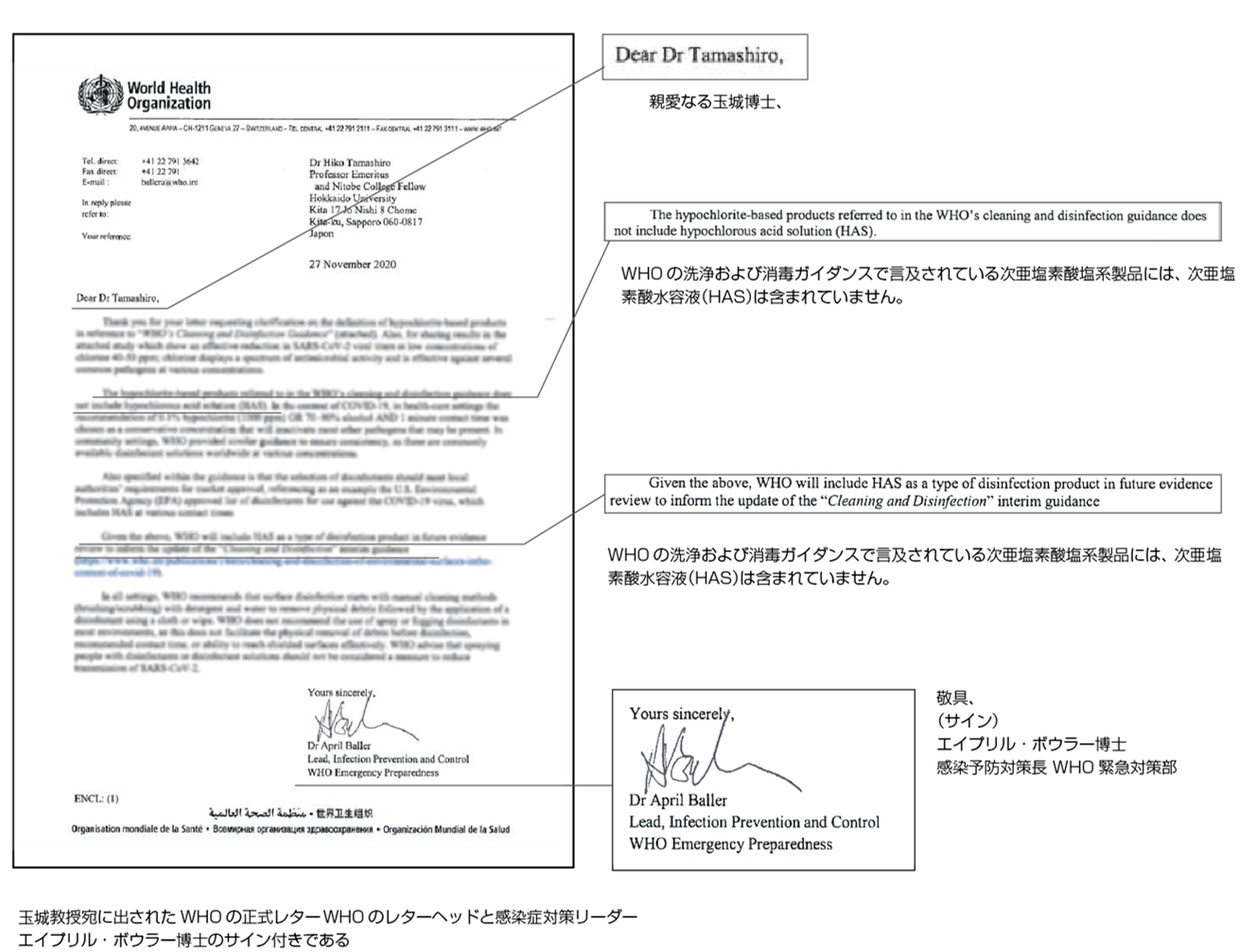 WHOから玉城教授への手紙