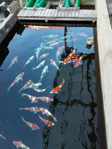 20201104_083148.jpg