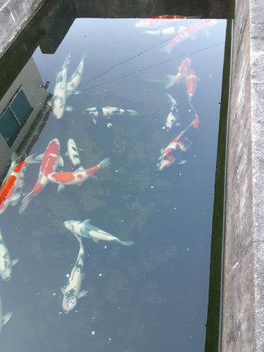 20201103_161234.jpg