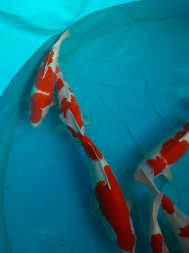 20201103_154756.jpg