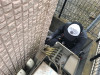 thumbnail_IMG_7393.jpg