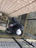 thumbnail_IMG_7396.jpg