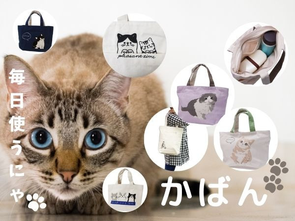 新商品！ふわふわモコモコ♪かわいいぬいぐるみのぼう猫(ハチワレ) - 猫雑貨・チョークアート・はんこのお店 れいにゃん堂