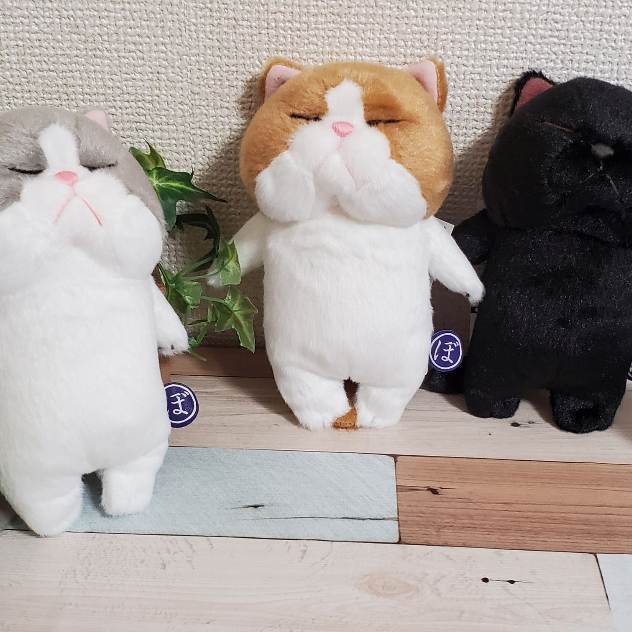 新商品！ぼうねこ　棒状のねこがかわいい寝姿の癒し系ぬいぐるみ