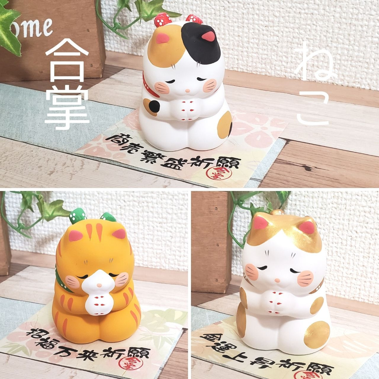 限定特売品 れいにゃんん様専用ページ | umma.hu