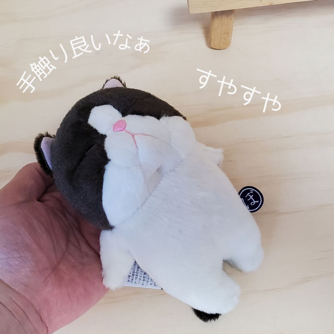 新商品！ふわふわモコモコ♪かわいいぬいぐるみのぼう猫(ハチワレ)