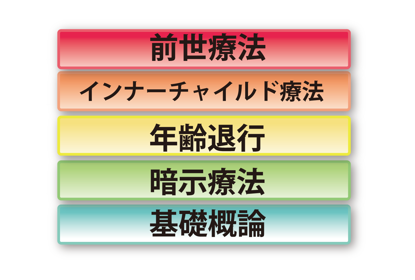 プロコース カリキュラム