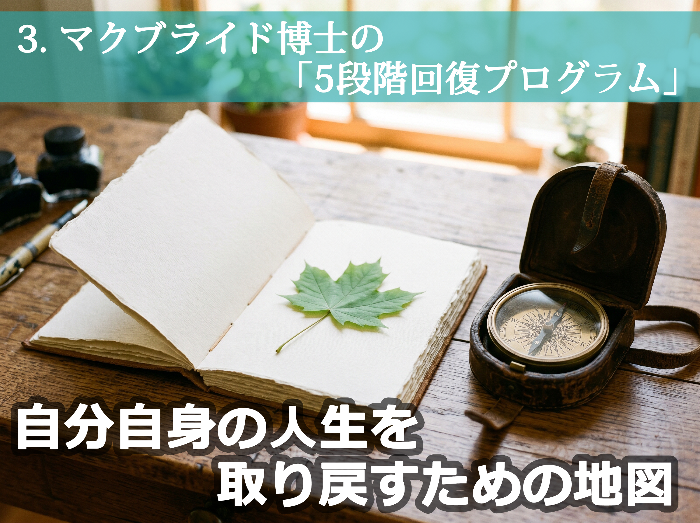 5段階回復プログラム