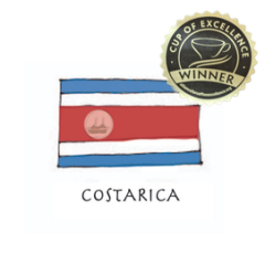 シングル新ポップ (特選豆_メイン) (148x105mm) (4).png