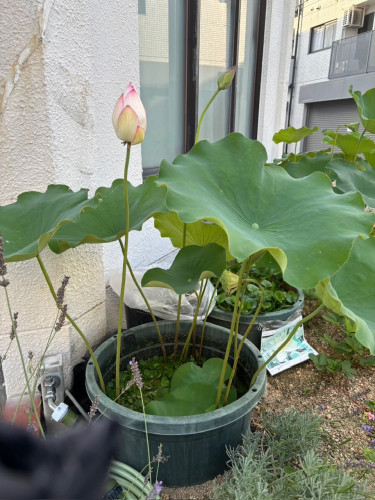 image0 (30).jpeg