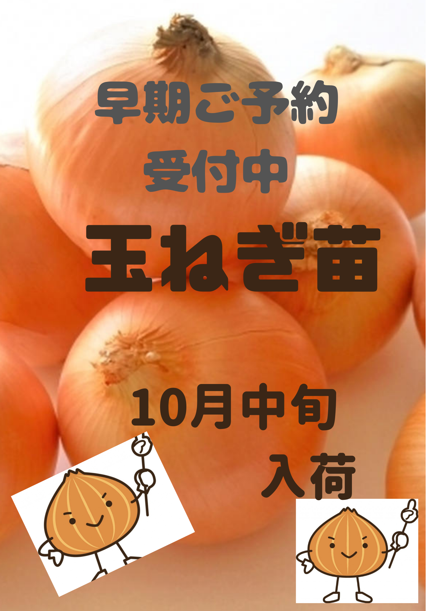 玉ねぎ苗　早期ご予約受付中