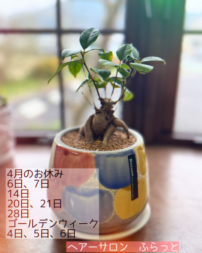 1D6079B7-9F2D-4878-AE4C-C33C24EDE396.jpeg