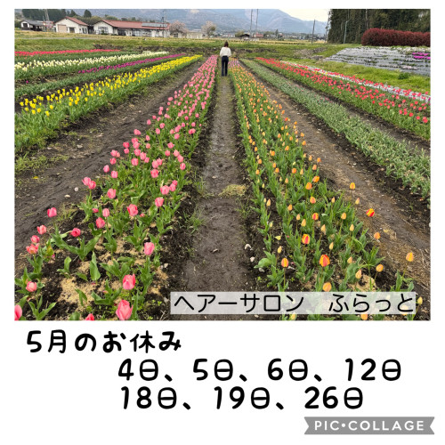 IMG_3551.jpeg