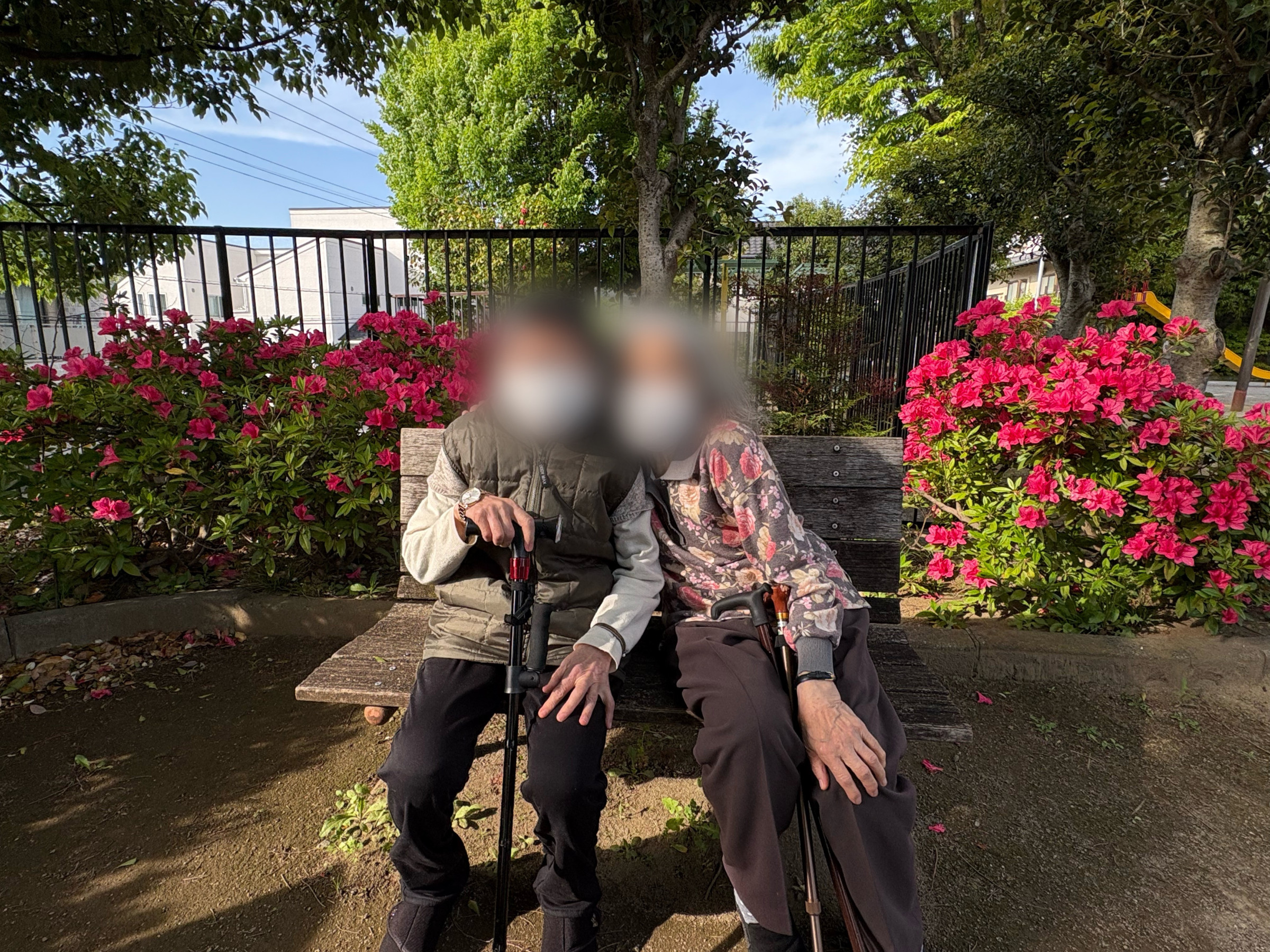 近くの公園には季節の花