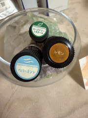 IMG_8071.jpeg