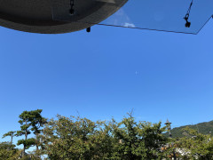 IMG_2708.jpg