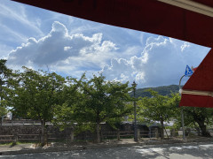 40B656EC-C0F6-4041-B50D-FF64A19303E0.jpeg