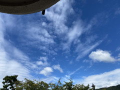AACDAA4B-9D79-4508-961D-71A22218DE4B.jpeg