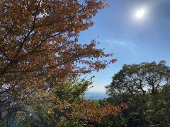 2CD5F55C-5B07-42A5-943F-260E29477B44.jpeg