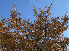 5D3230AD-B279-4BC2-8C13-17AD72999D40.jpeg