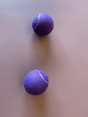 IMG_4739.JPG