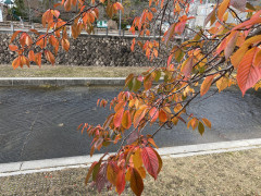 743BD03A-E433-412D-BA35-27BDAE4F802C.jpeg