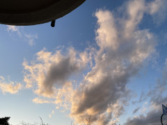 50A08D9D-C81C-4D9A-A34B-803AC0414649.jpeg