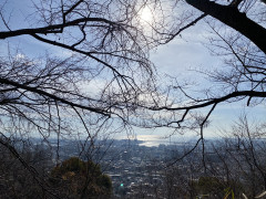 79F20974-BA92-469A-A19F-08E2E502C48F.jpeg