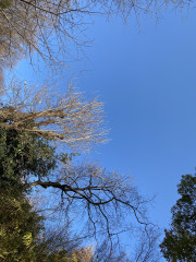 E7D38E4D-0F7C-4A20-AEC6-7D855F1622E5.jpeg