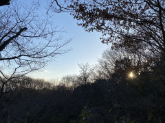 E081A4F4-77B9-4C71-A199-ACE983EB180F.jpeg