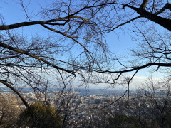 E693A6F2-B0AD-4B67-8851-C202FE7B06EB.jpeg