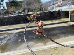 B4429087-4D6A-44D2-A19F-B98AA252898E.jpeg