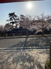 FC39D054-3378-4B7A-B6D2-634EF93A8B05.jpeg